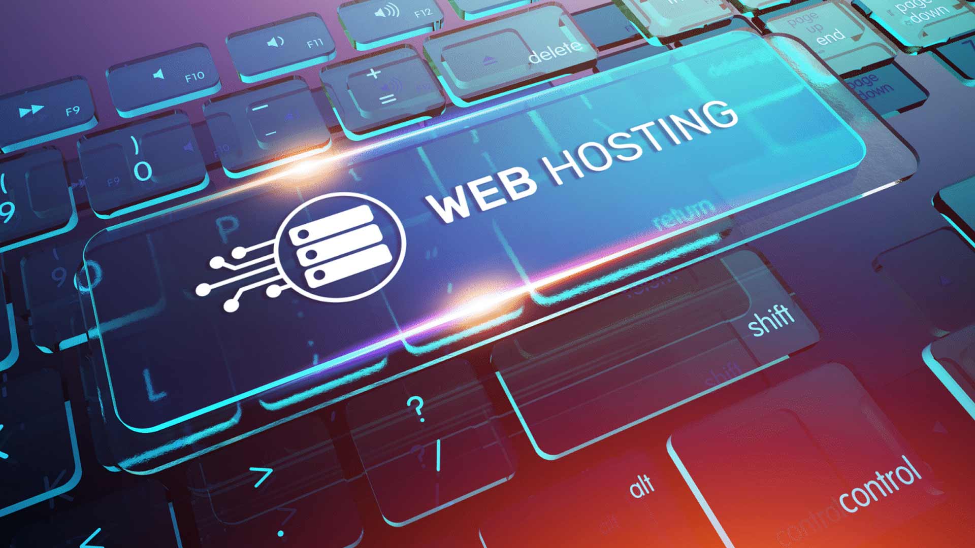 The Difference Between a Domain and Hosting